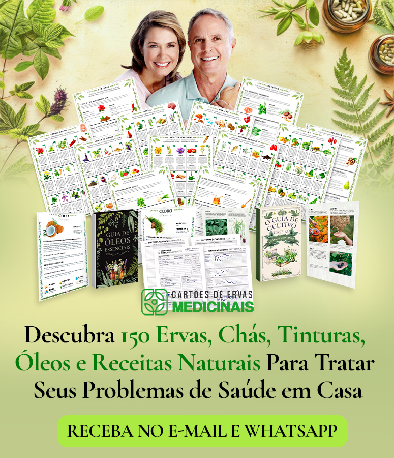 Receitas de Ervas Medicinais