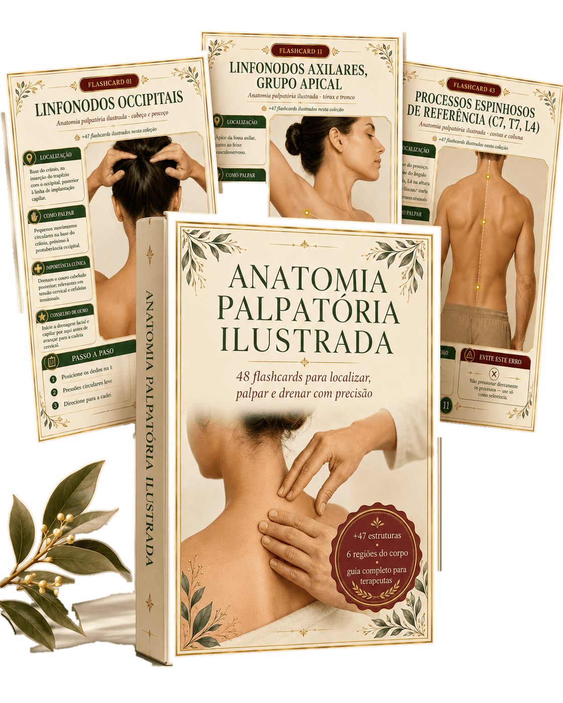 48 Estruturas de Anatomia Palpatória