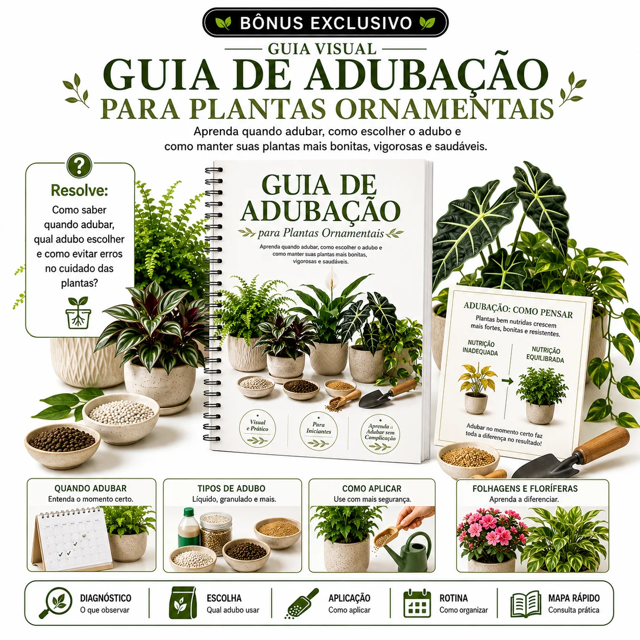 Guia de Adubação para Plantas Ornamentai