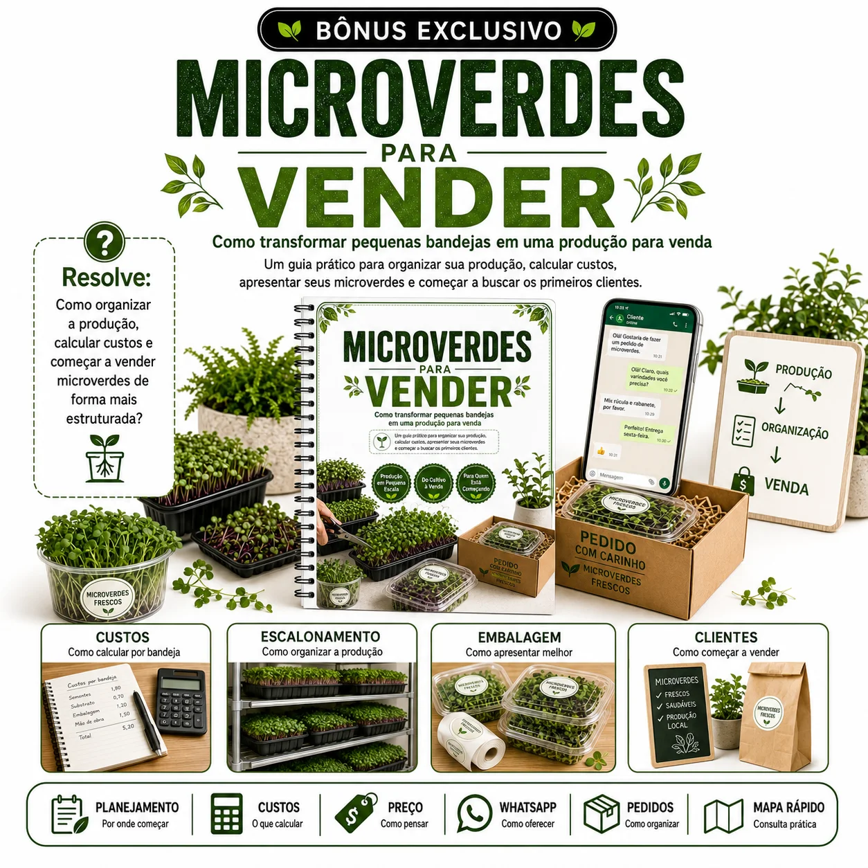 MICROVERDES PARA VENDER