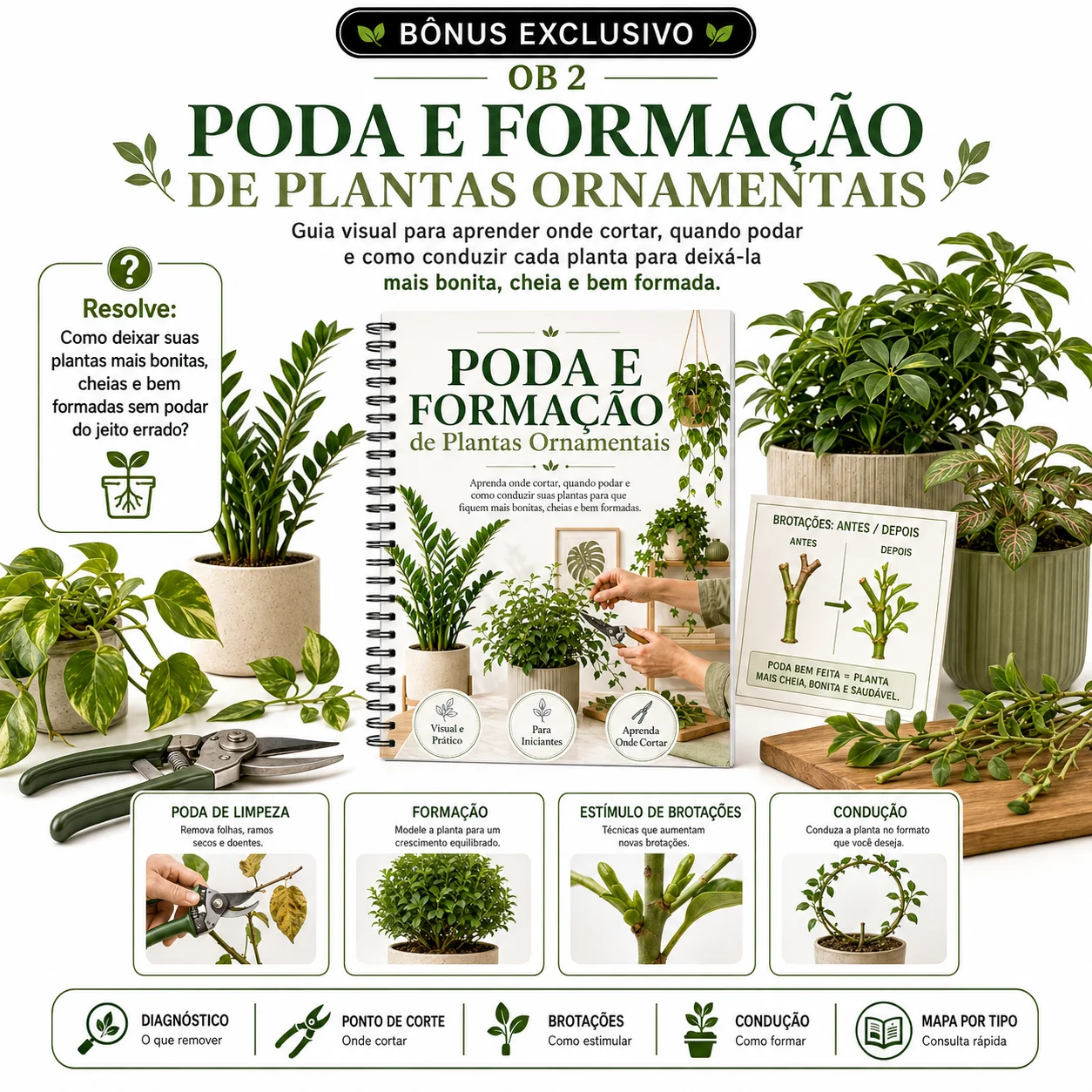 PODA E FORMAÇÃO DE PLANTAS ORNAMENTAIS 
