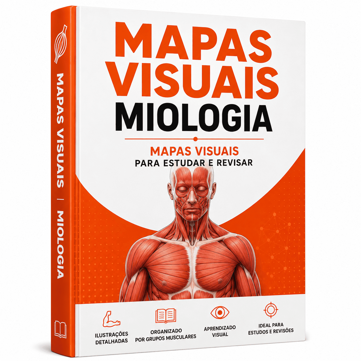 Mapas Visuais — Miologia
