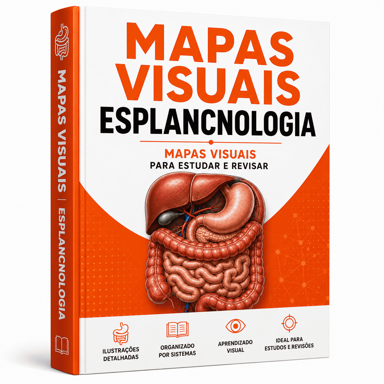 Mapas Visuais — Esplancnologia