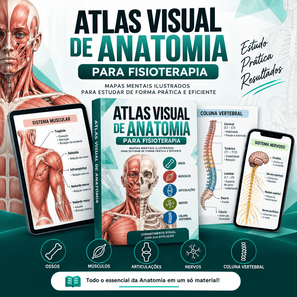Atlas Visual: Anatomia Para Fisioterapia