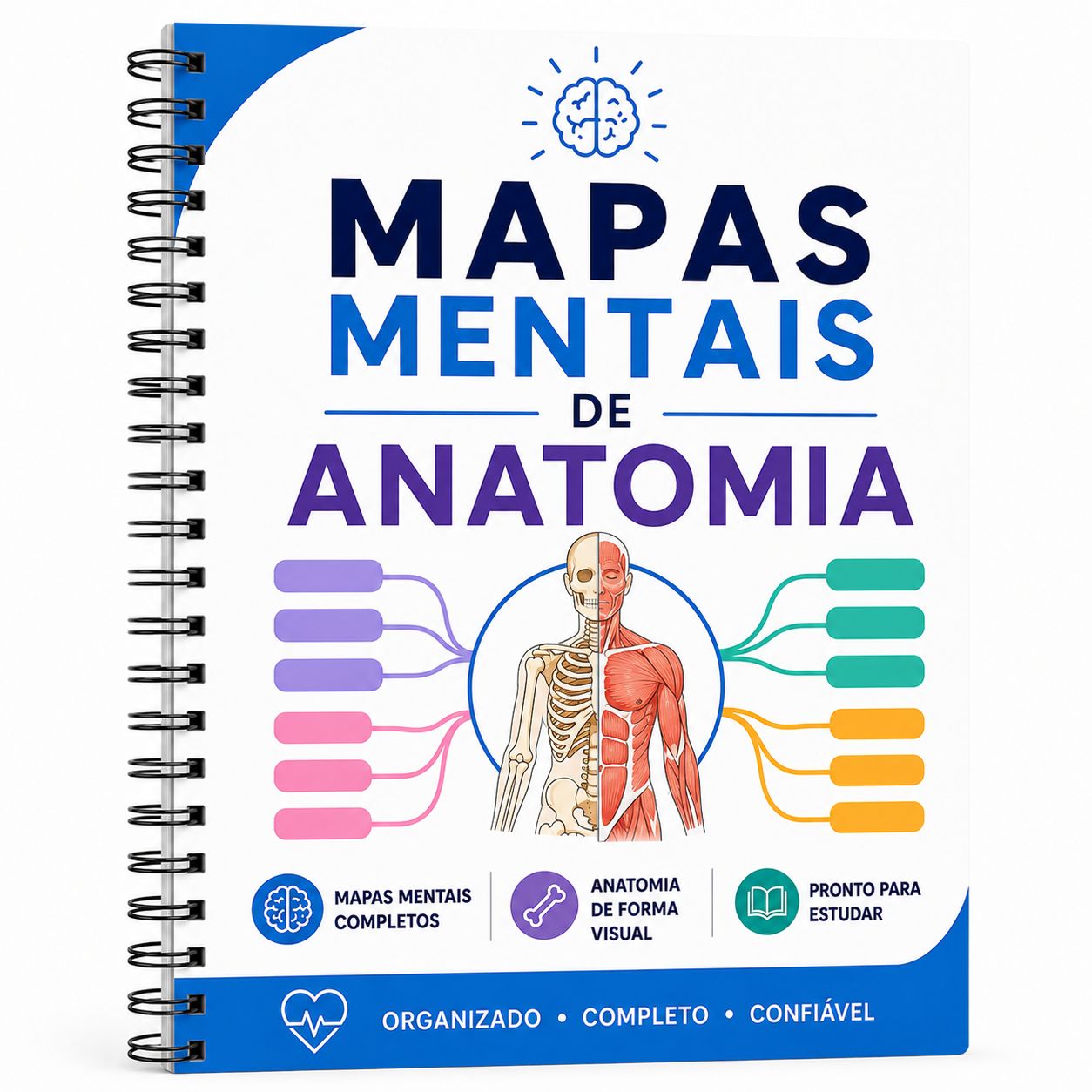 Mapas Mentais Anatomia