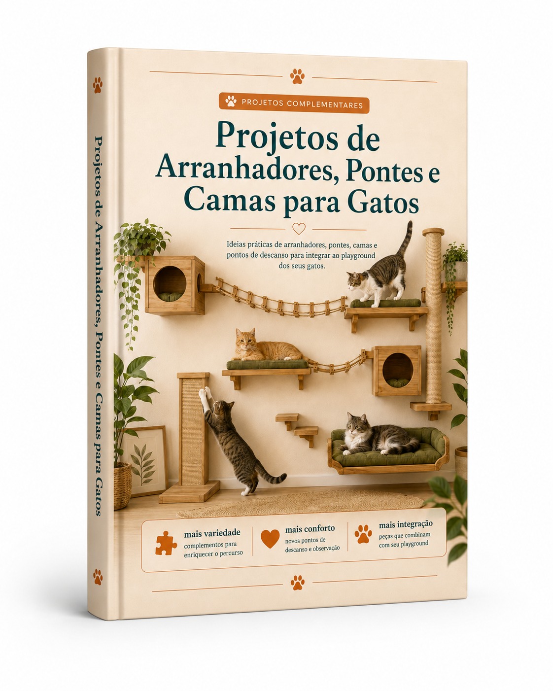 Projetos de Arranhadores, Pontes e Camas
