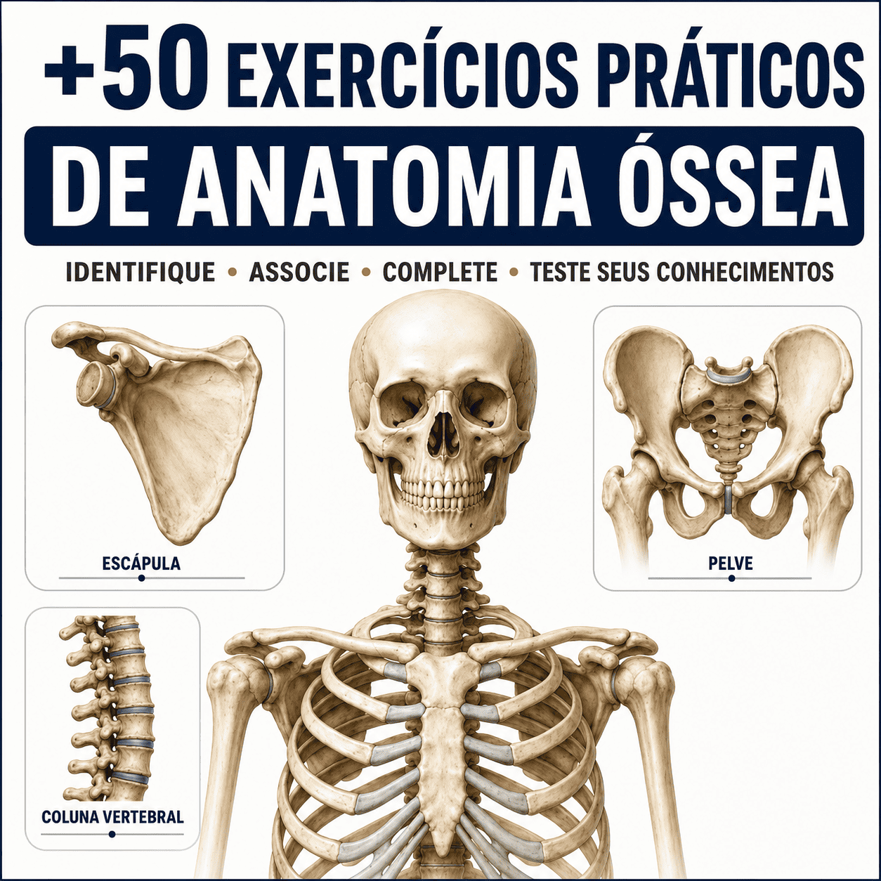 +50 Exercícios Práticos Anatomia Óssea