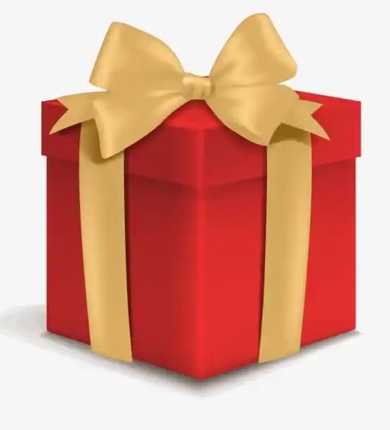 🎁Pacote 3 em 1 Com Desconto + 2 Bônus