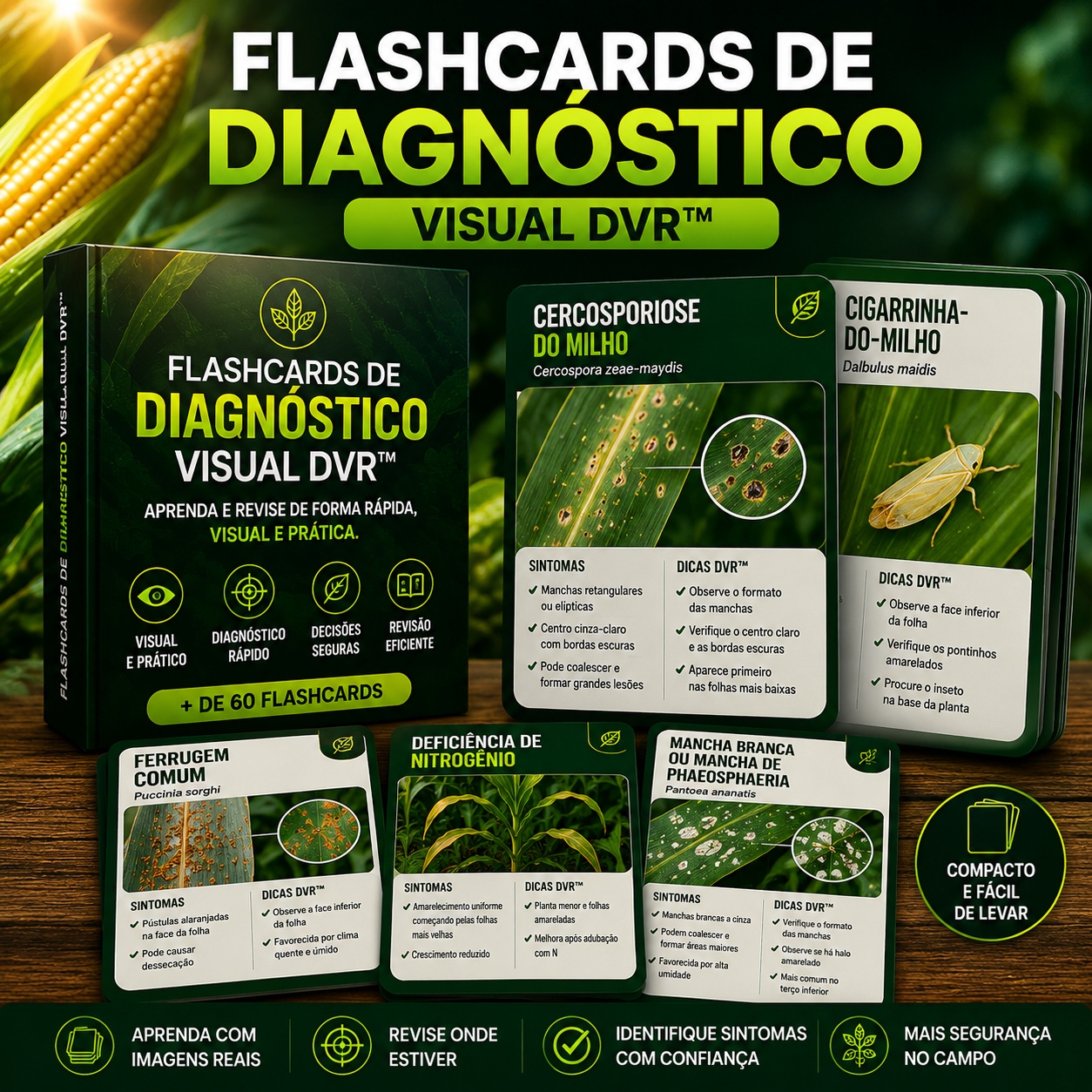 Flashcards de Diagnóstico Visual DVR™