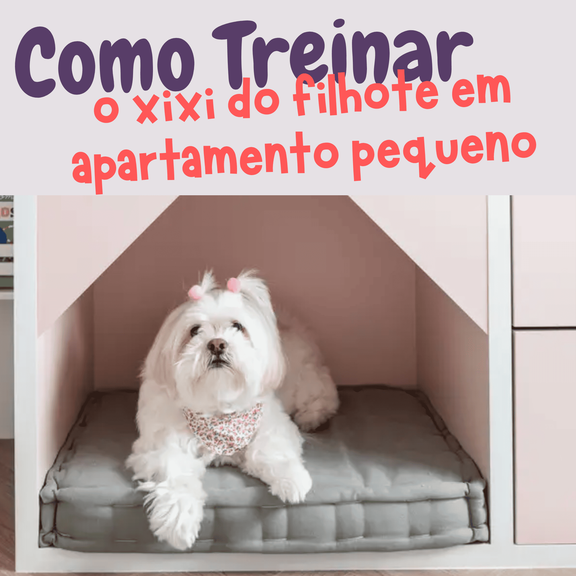 Treinar Xixi em Apartamento Pequeno