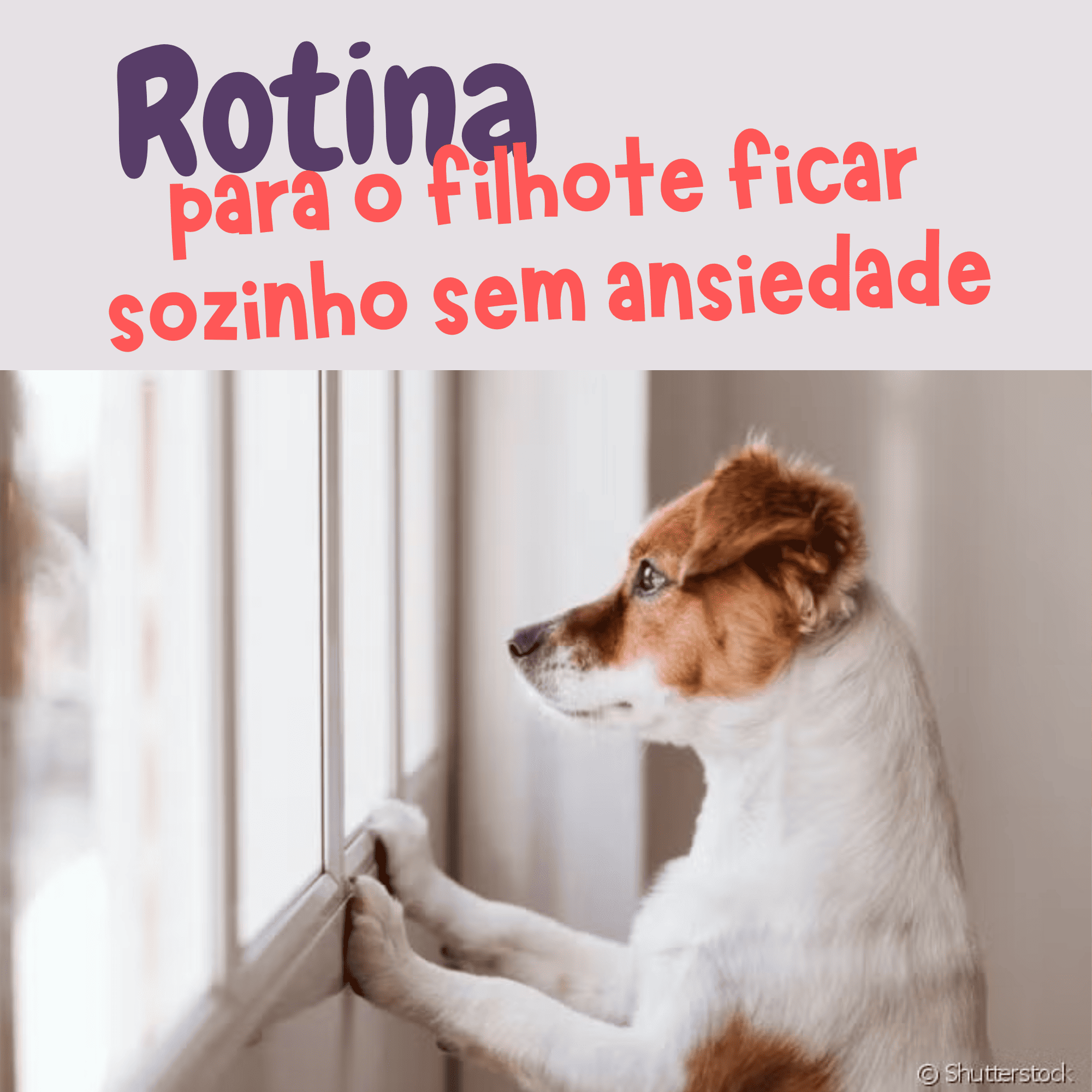 Método Filhote Sozinho sem Ansiedade