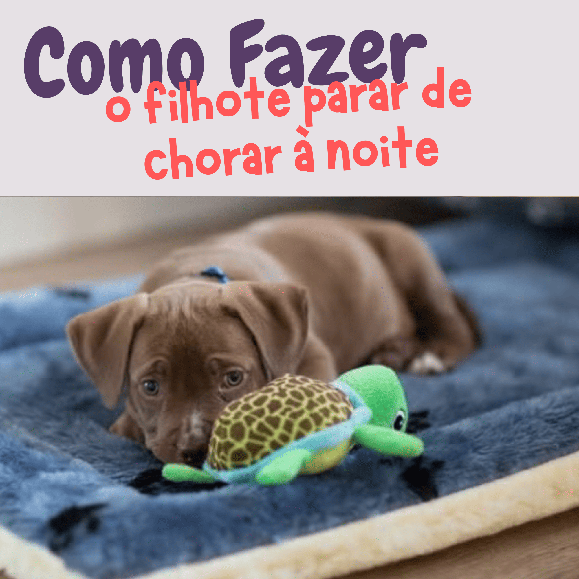 Método Acabar de Vez Com o Choro à Noite