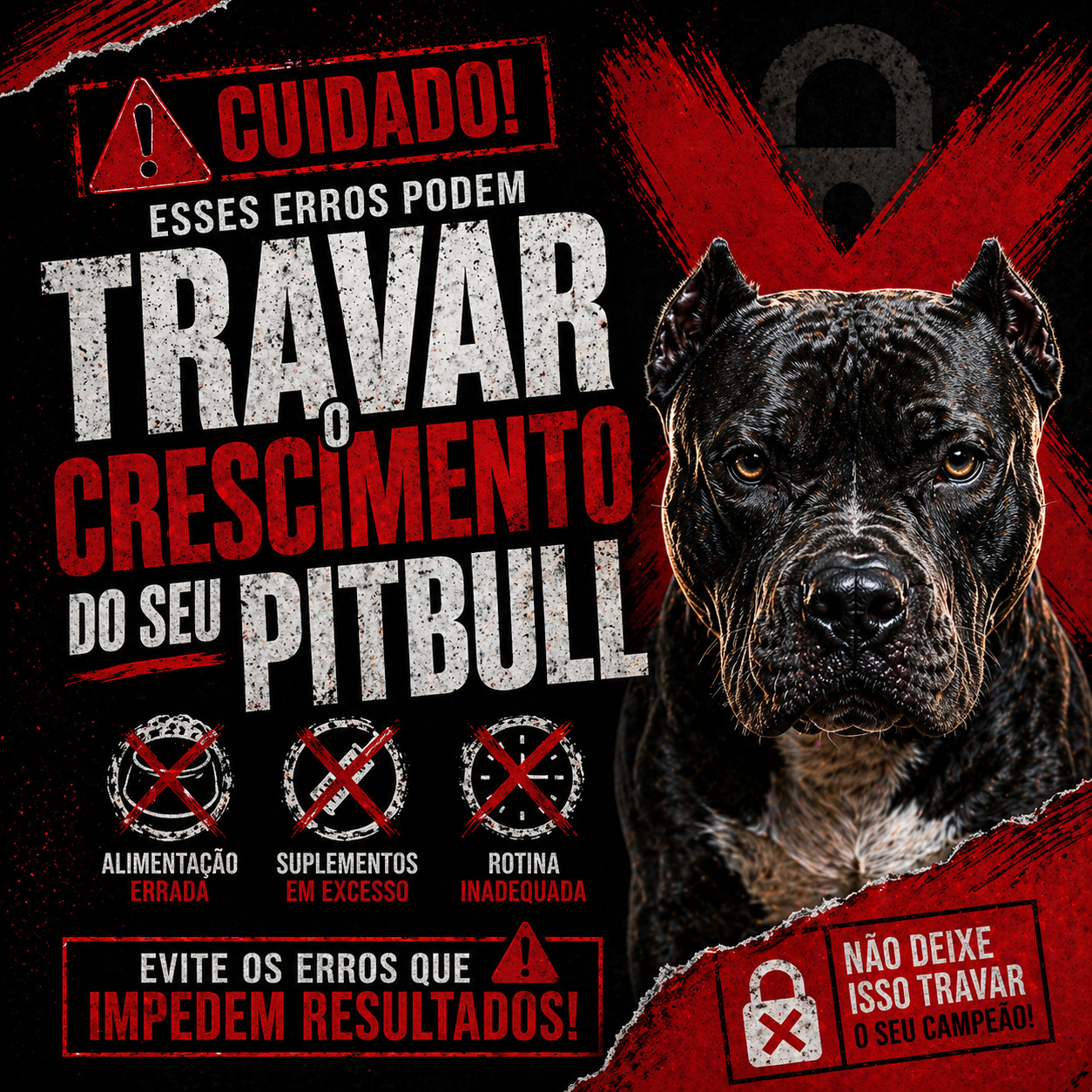 Erros que Travam o Crescimento