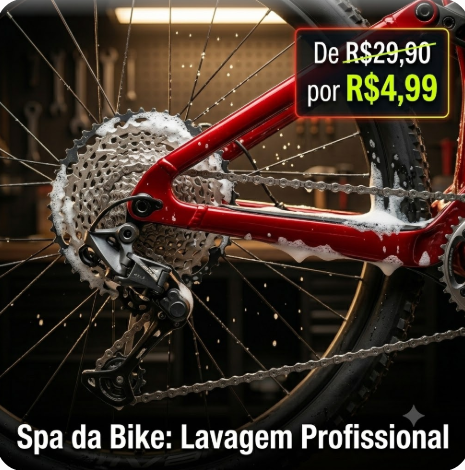 Spa da Bike: Lavagem Profissional