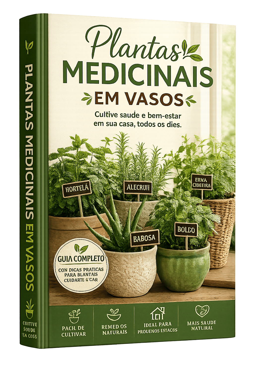 Plantas Medicinais em Vasos
