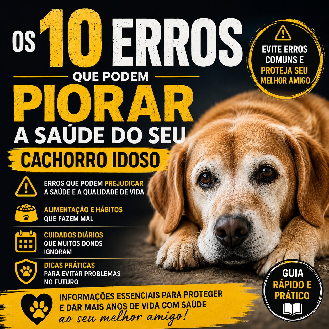 10 Erros Que Podem Piorar a Saúde do cão