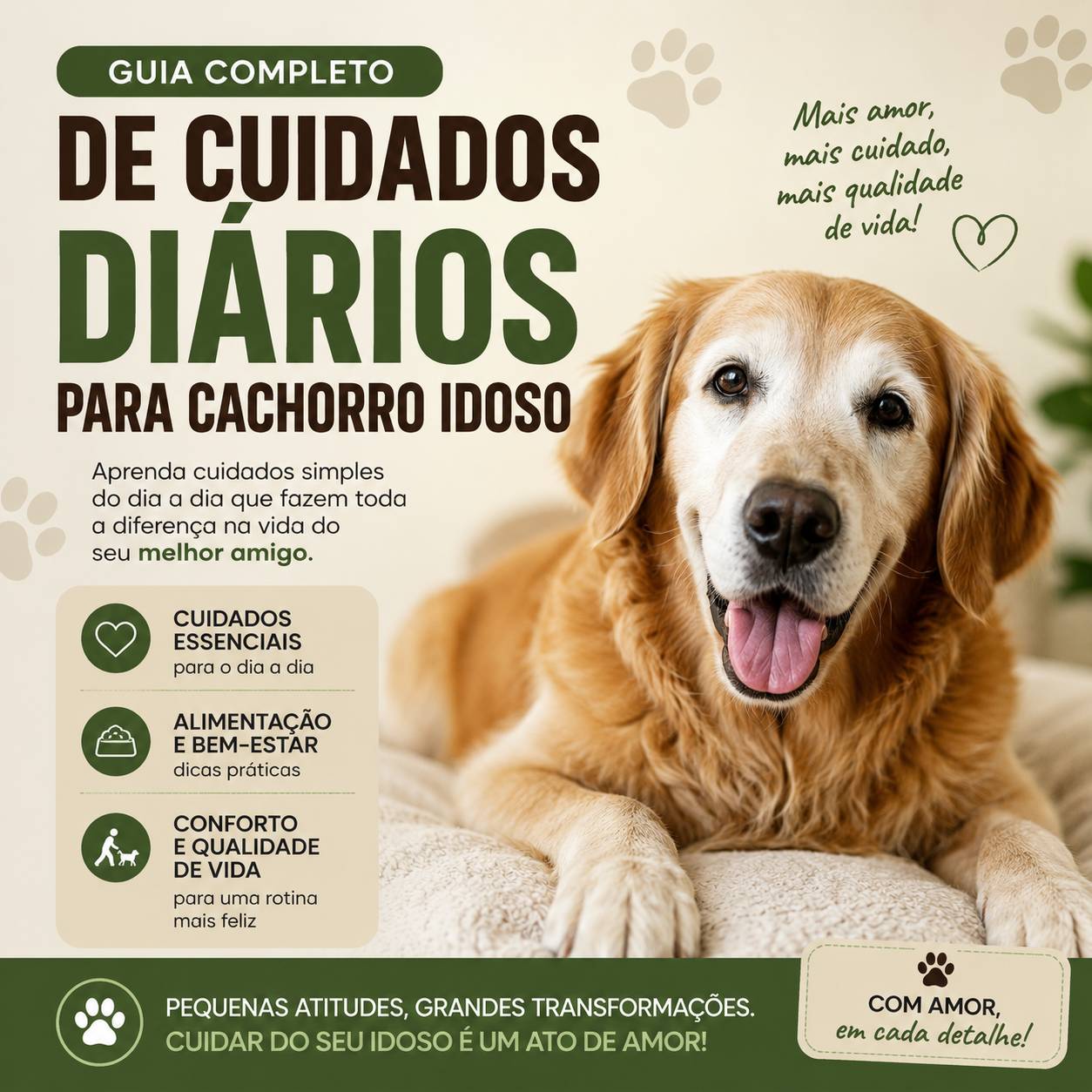 Guia de cuidados diário para cão