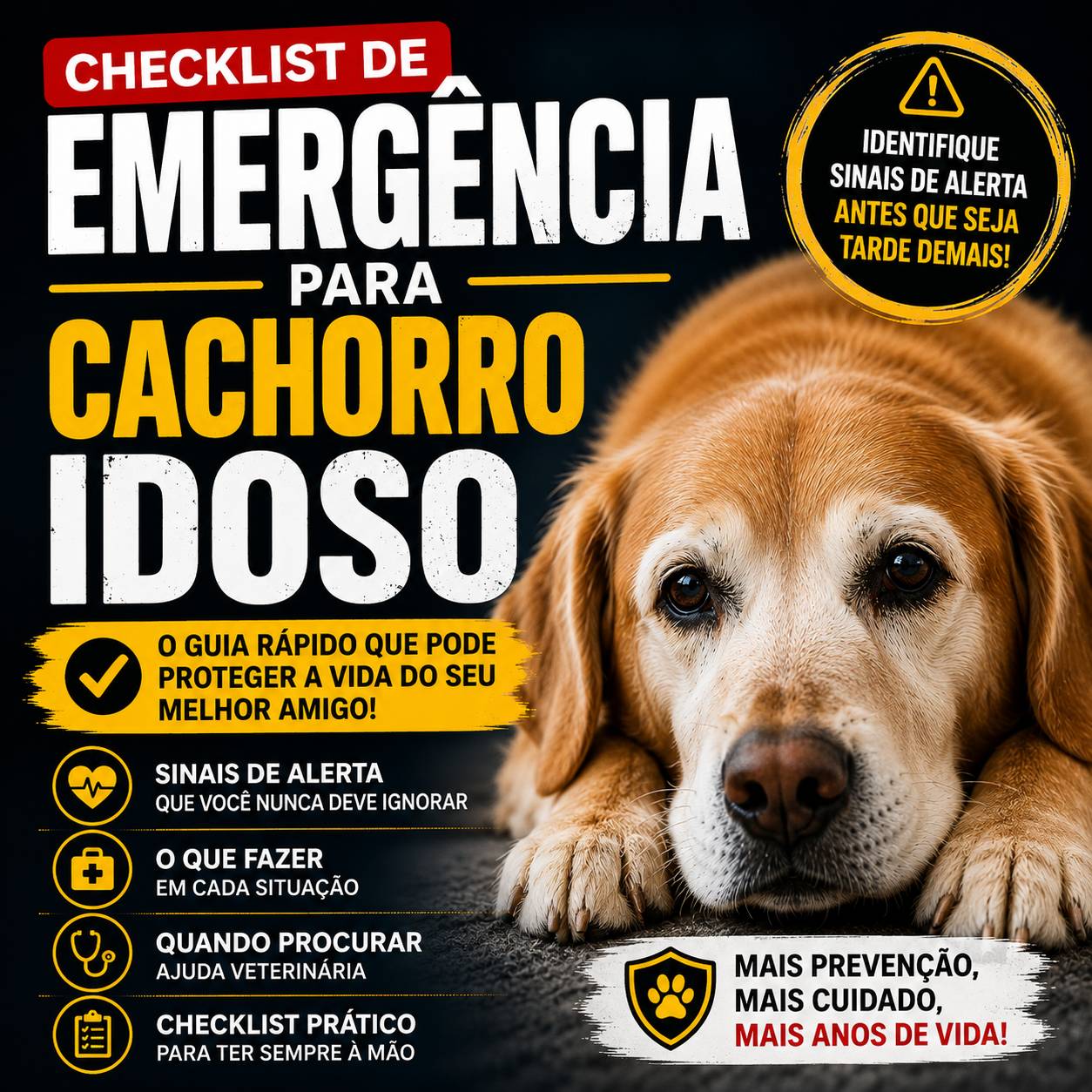 Checklist de Emergência Para Cão idoso