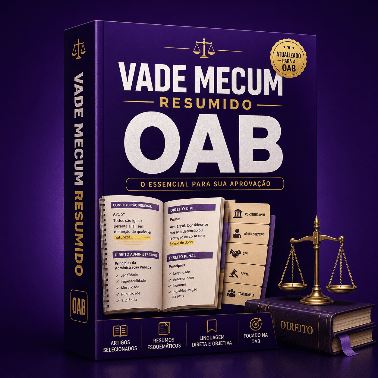 Vade Mecum Resumido OAB