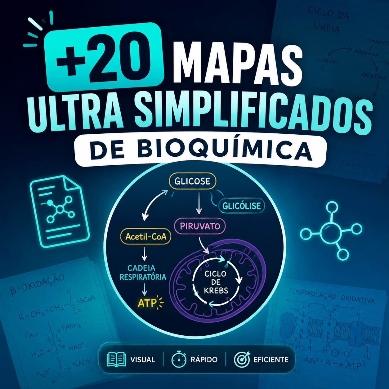 Mapas Ultra Simplificados de Bioquímica