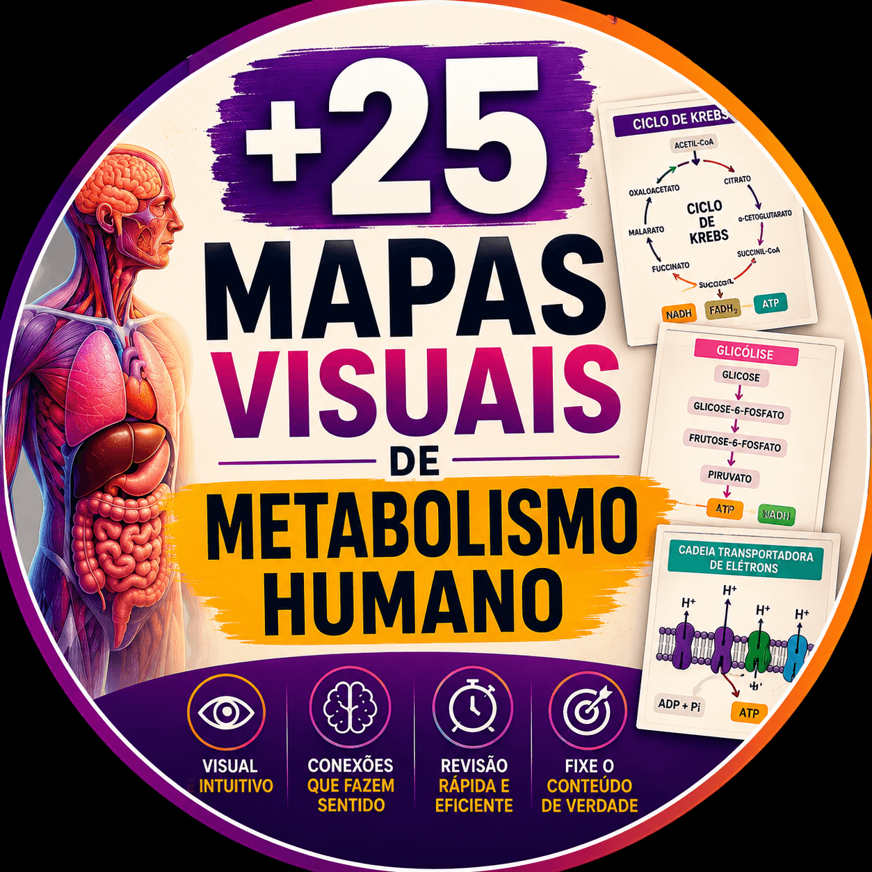 +25 Mapas Visuais de Metabolismo Humano