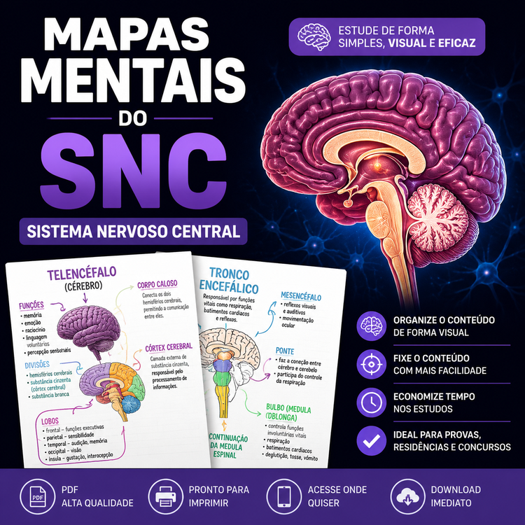 Mapas Mentais Ilustrado da Neuroanatomia