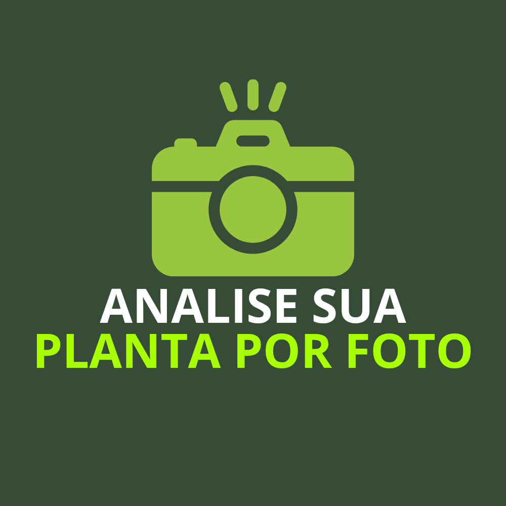Analise Sua Planta por Foto