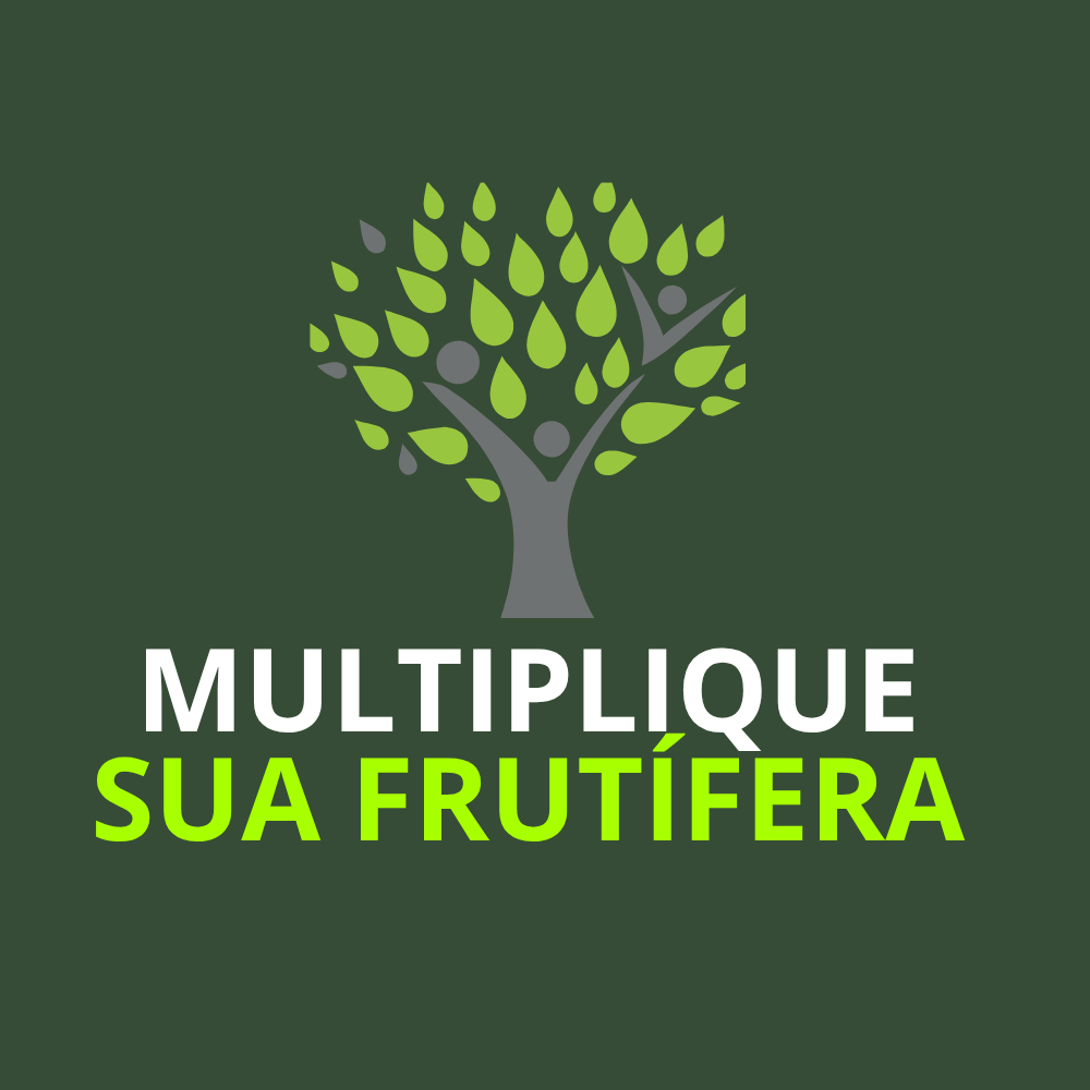 Faça sua própria muda em casa