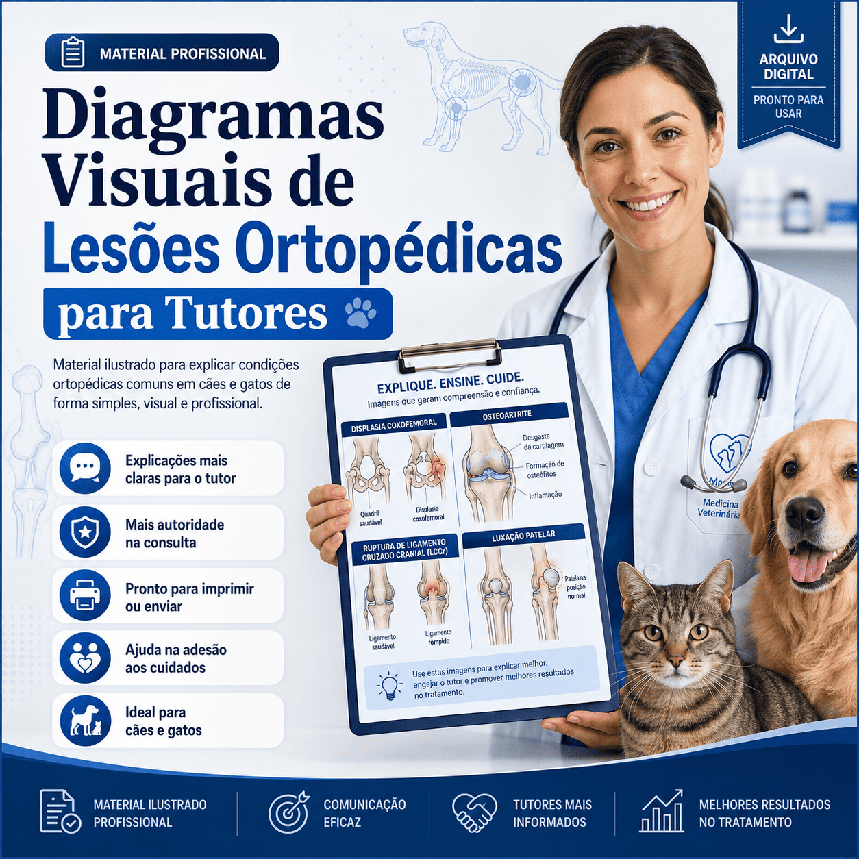 Diagramas Visuais de Lesões Ortopédicas 