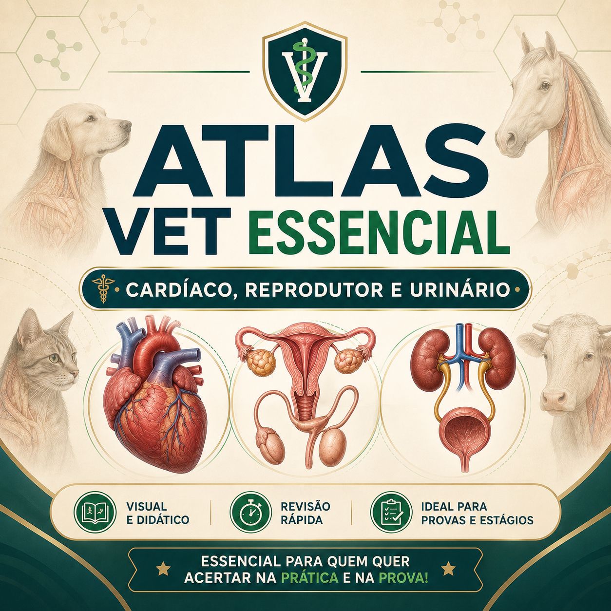 Atlas Vet Essencial: Cardíaco, Reproduto
