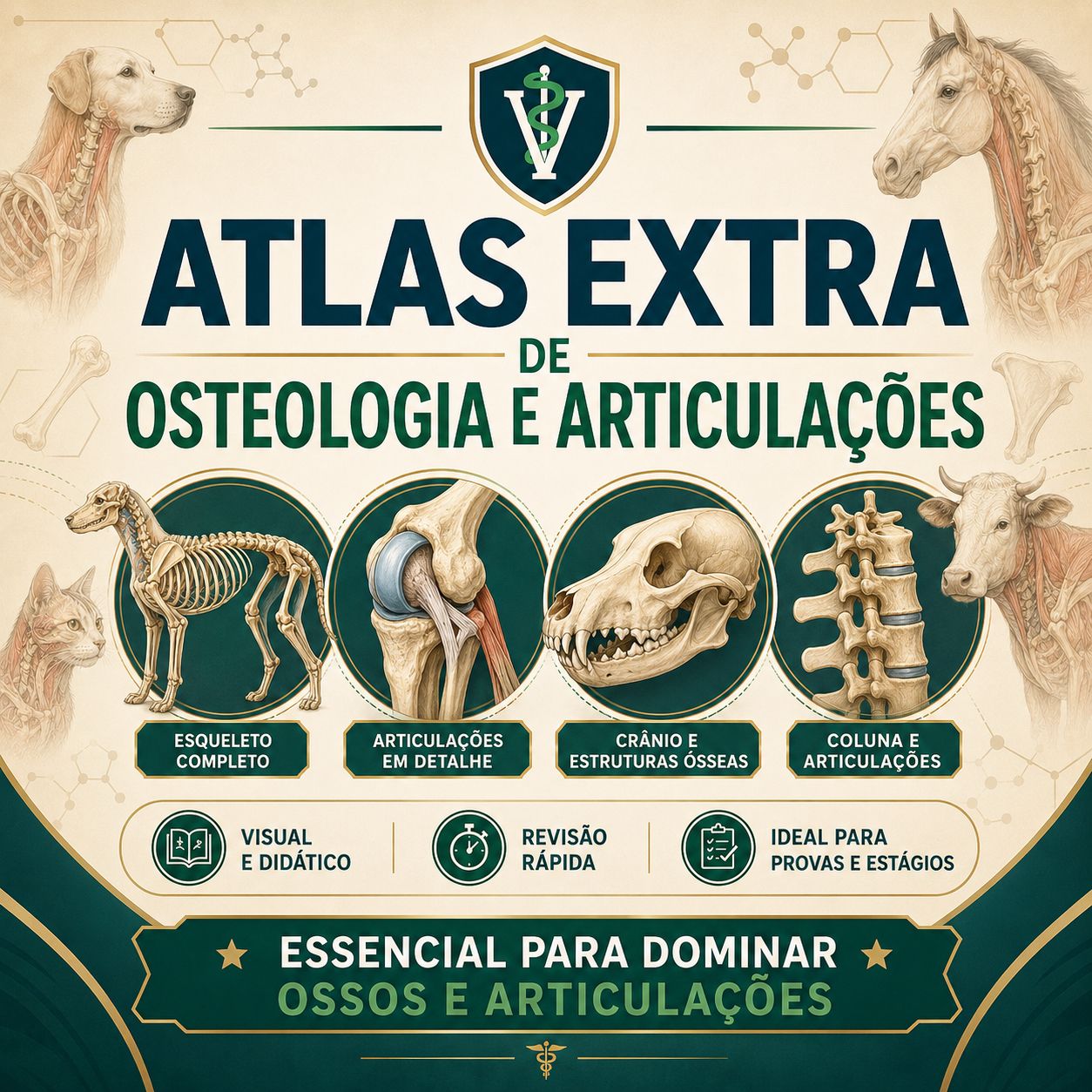 Atlas Extra de Osteologia e Articulações