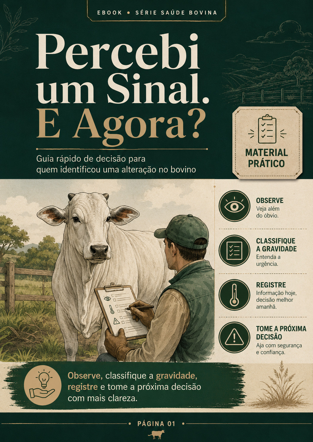 Percebi um Sinal. E Agora?