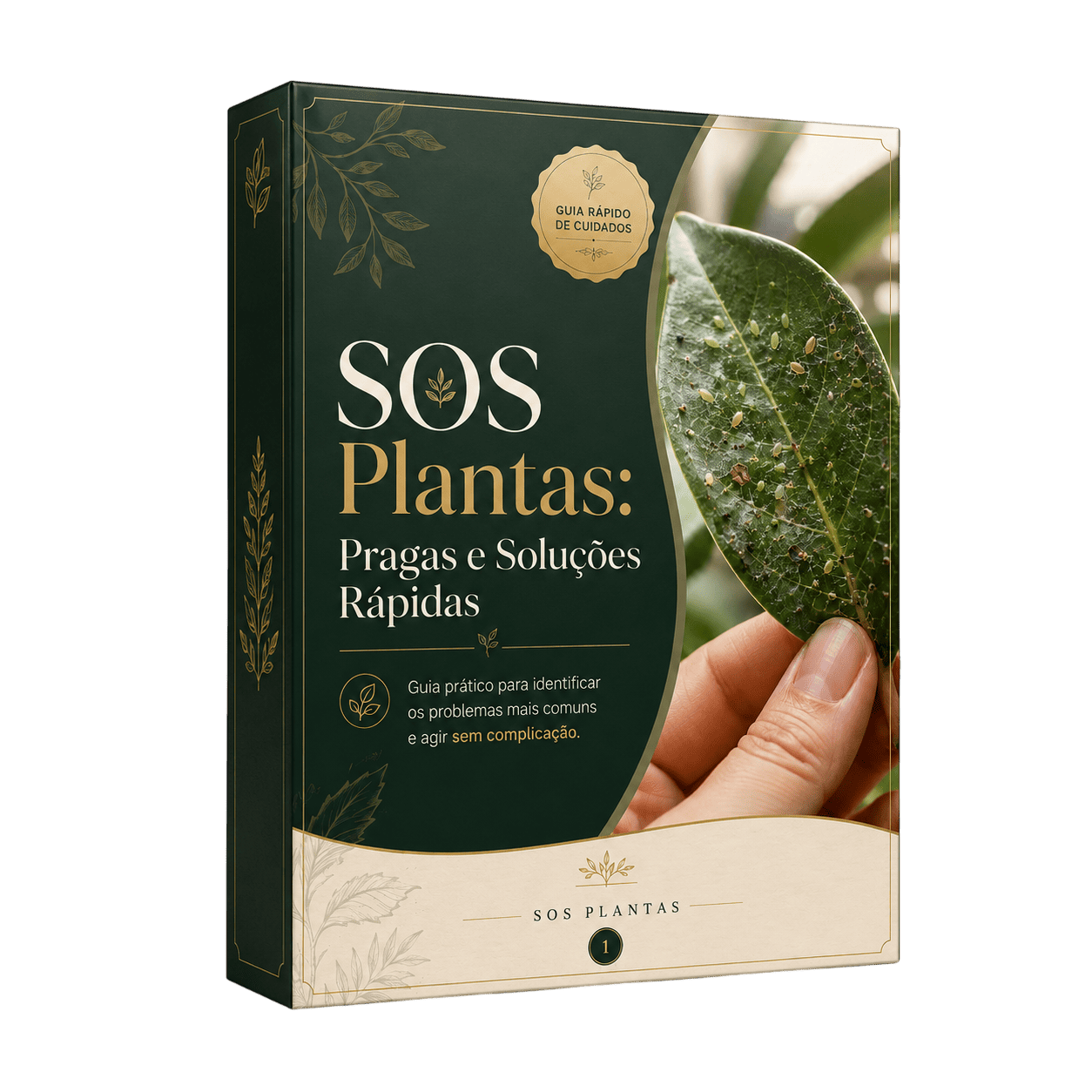 SOS Plantas: Pragas e Soluções Rápidas