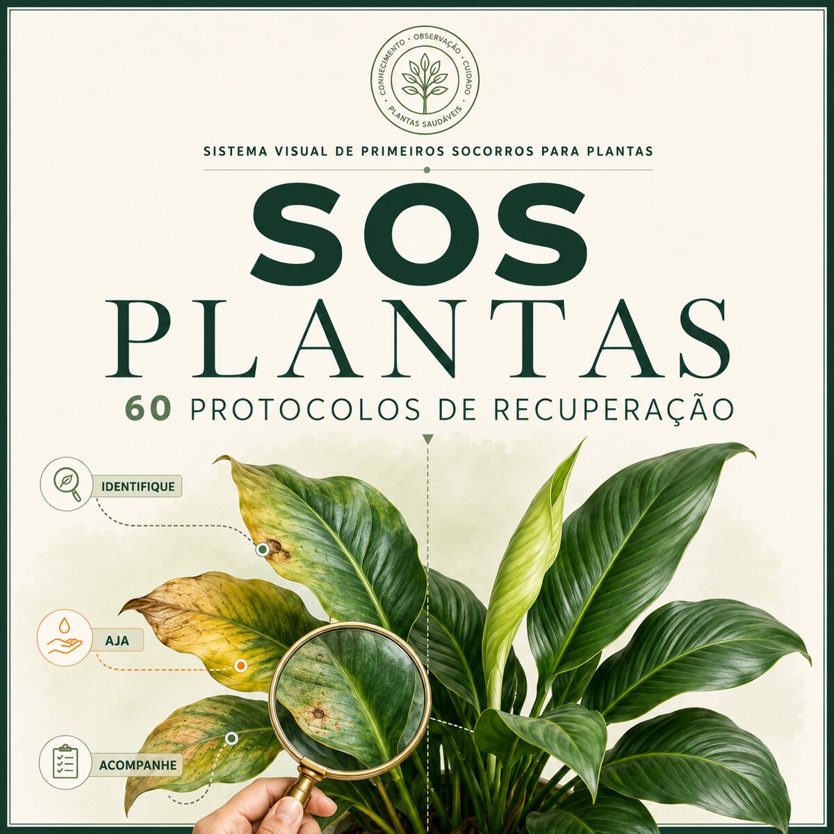 +60 Protocolos Ilustrados de Recuperação