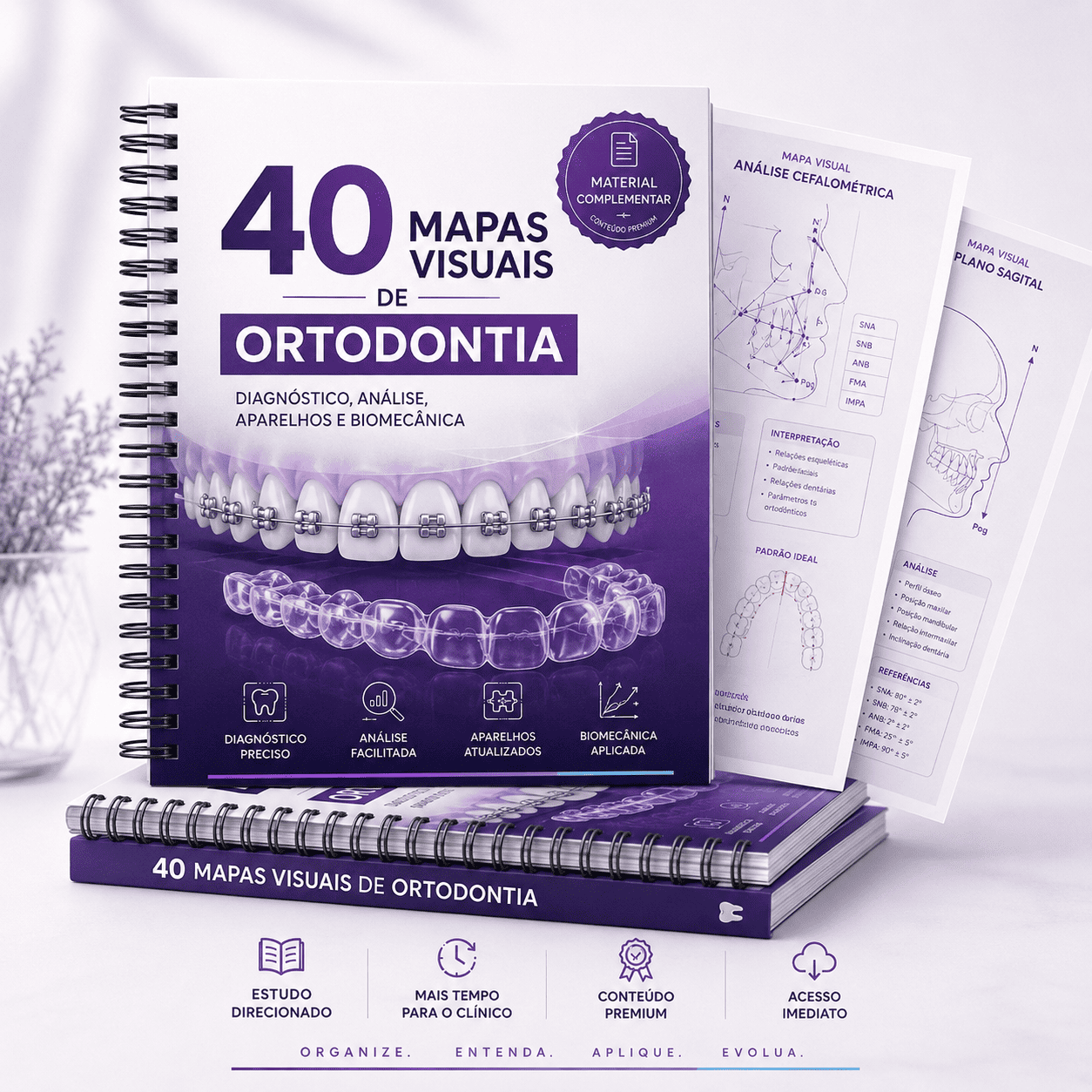 +40 Mapas Visuais de Ortodontia