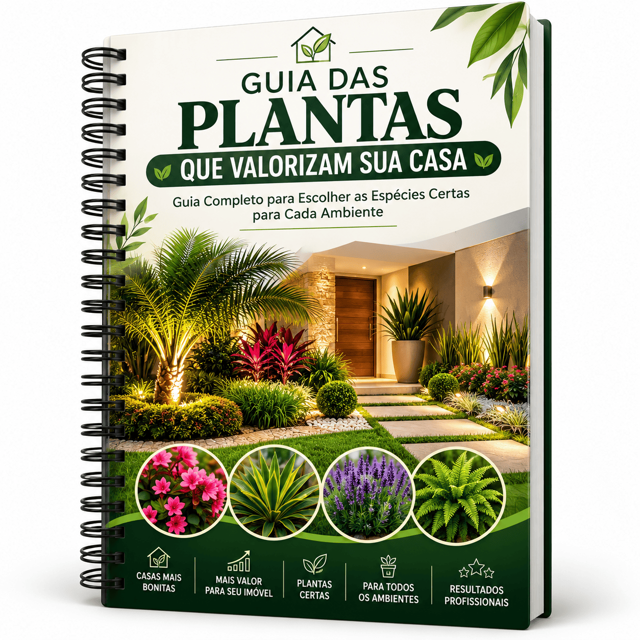 Guia das Plantas que Valorizam sua Casa