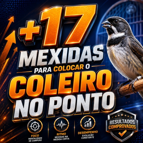 +17 Mexidas para Colocar ele no Ponto