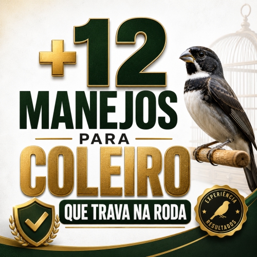 12 Manejo para Coleiro que Trava na Roda