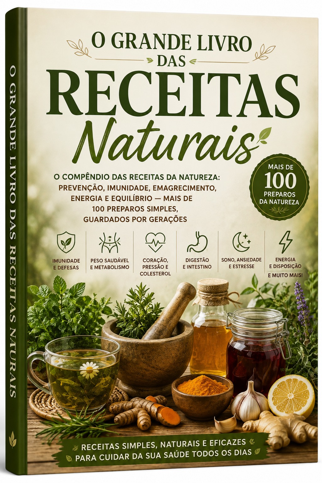 O Grande livro de receitas naturais
