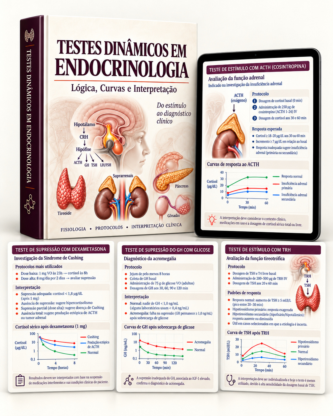 Testes Dinâmicos em Endocrinologia